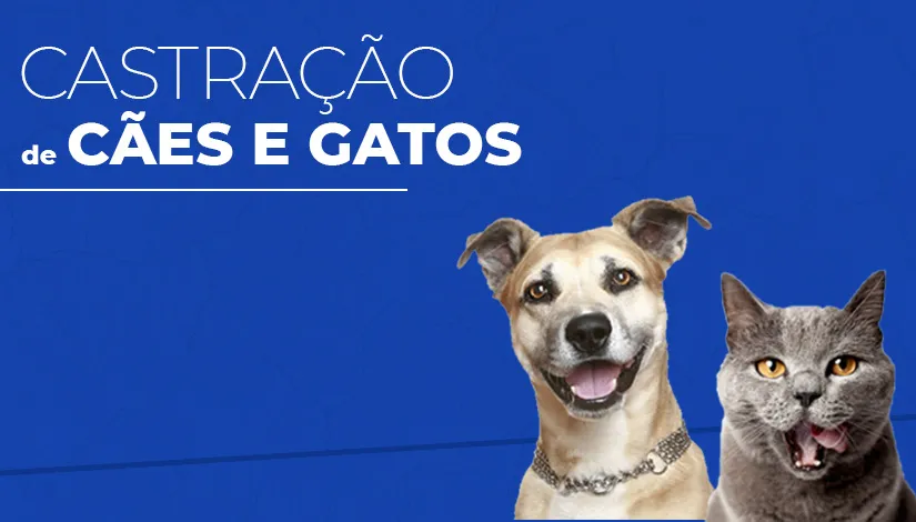 Programa CastraPet já esterilizou mais de 30 cães e gatos