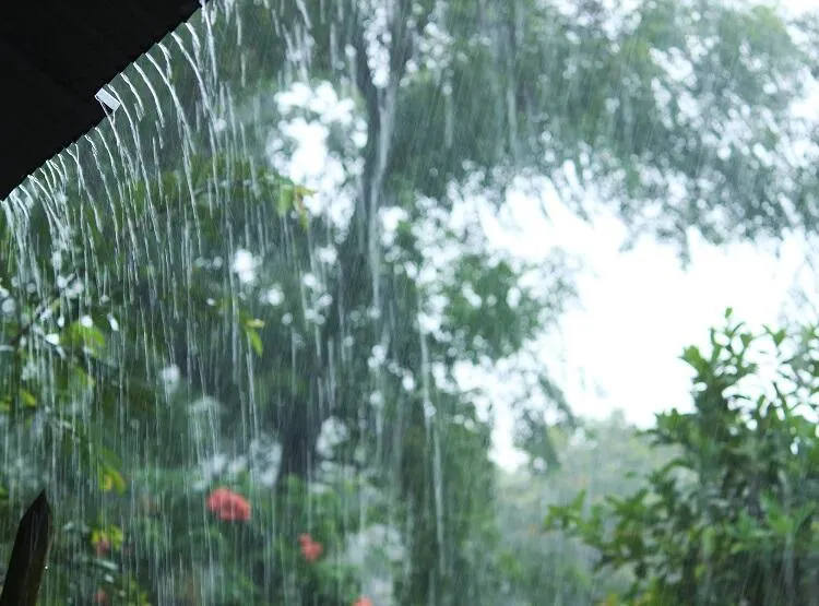 Cidades do Cariri registram chuvas; veja quanto choveu em cada município