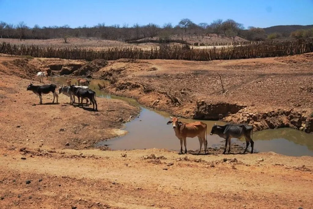 Baixa umidade do ar: Inmet emite alertas para mais de 140 cidades da Paraíba